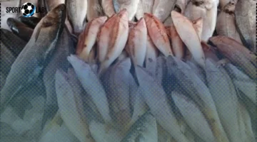 أسعار الأسماك في كفر الشيخ تثير اهتمام الجميع.. كيلو البلطى يصل إلى 70 جنيهاً الأربعاء ٦ نوفمبر ٢٠٢٥